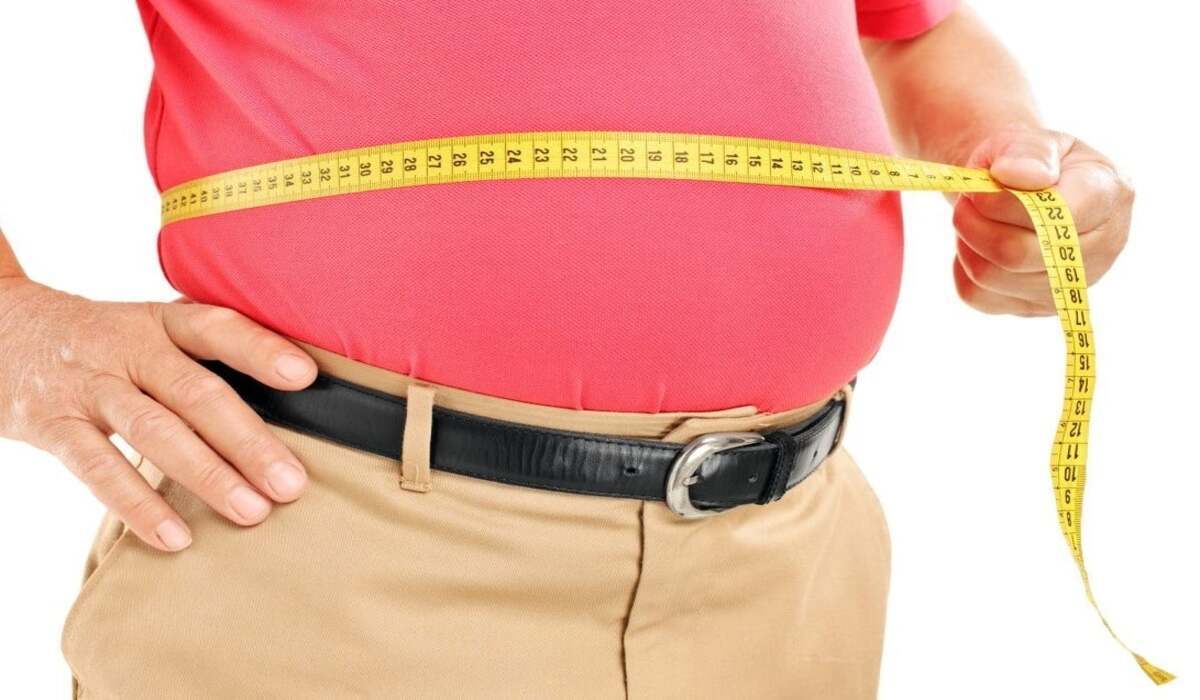 Identifican una proteína clave para el control de la obesidad y las enfermedades cardíacas