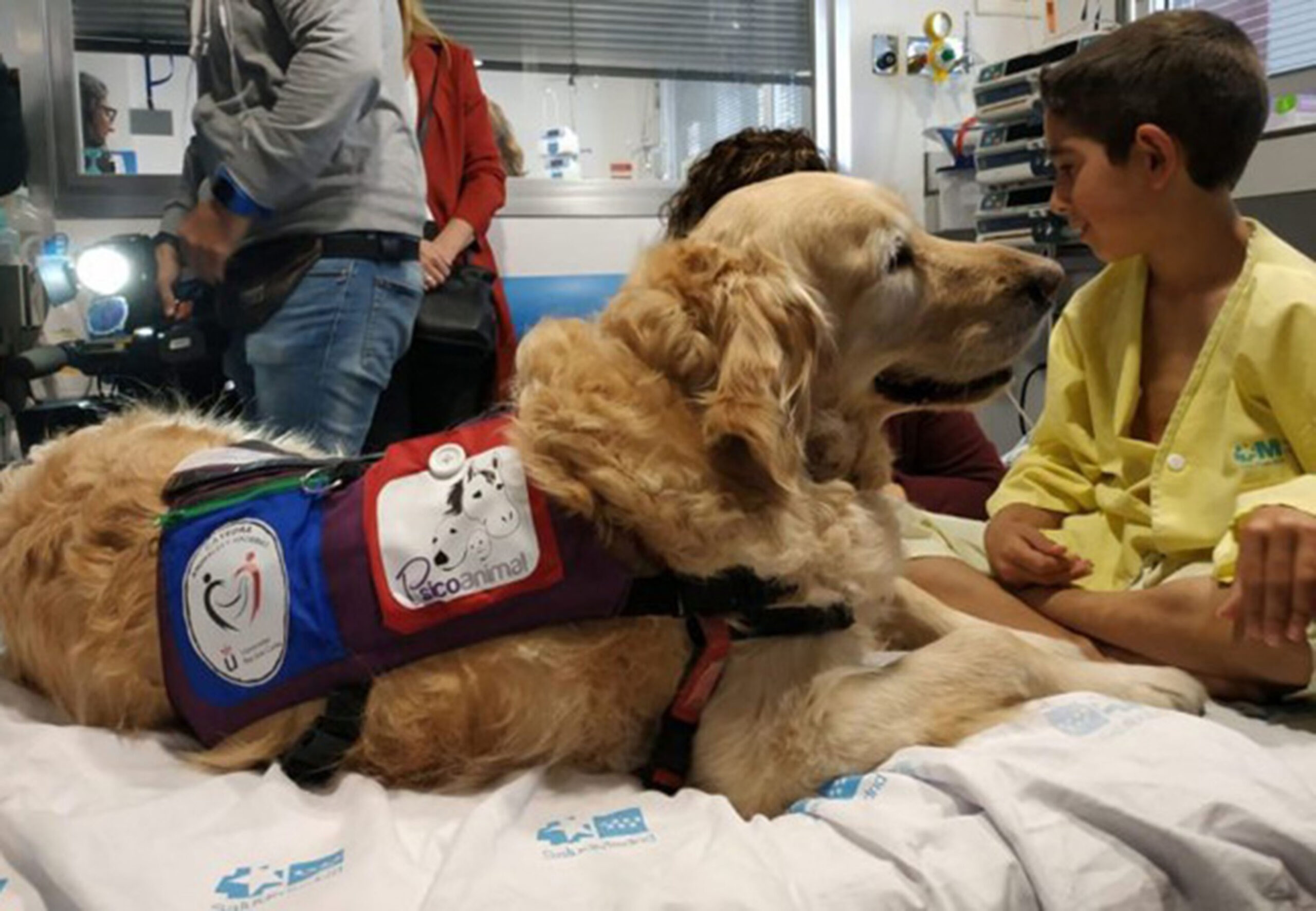 Más que olfato: la emoción que hace destacar a los perros detectores de enfermedades