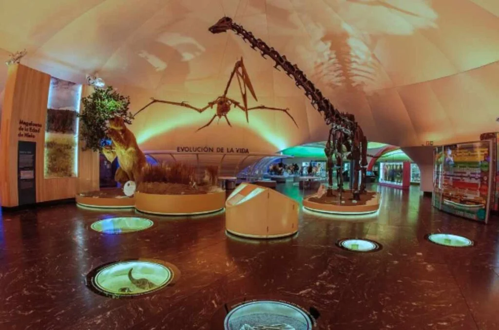 El Museo de Historia Natural celebra su aniversario con una Noche de Museos llena de ciencia, arte y jazz