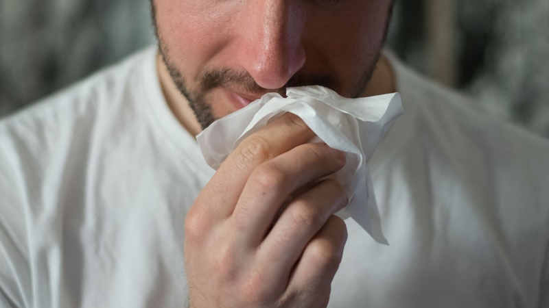 No todo es COVID: cómo distinguir alergia estacional, influenza, gripe y resfriado en México