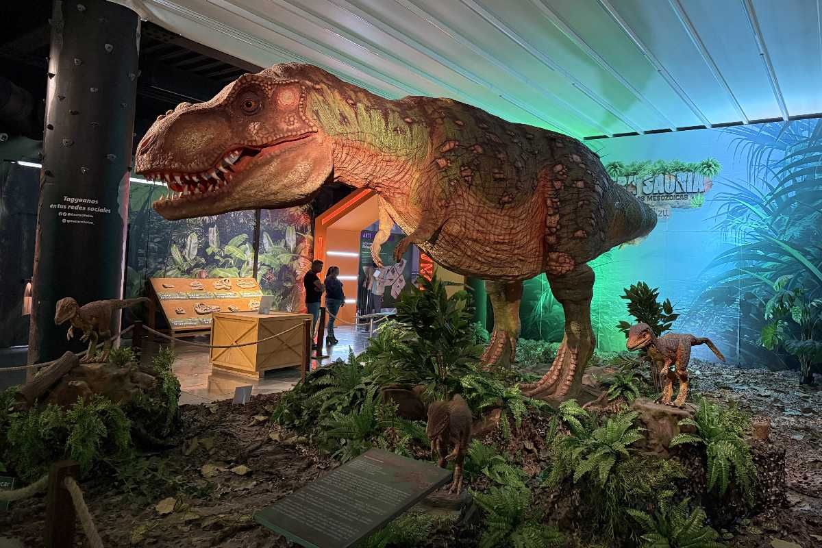 ¡Cuidado con el T-Rex! Así es la nueva exposición «Era Sauria» en Toluca